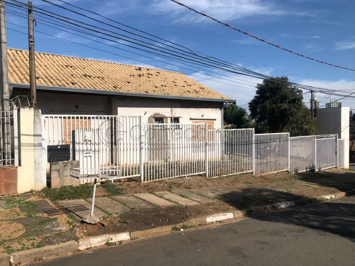 Alugar Casa / Padr&atilde;o em Campinas R$ 3.000,00 - Foto 5
